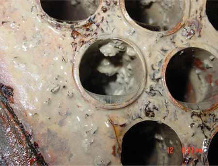 Content Dam Ww En Articles Iww Print Volume 17 Issue 6 Features The Science Behind Biofilms And Their Impact On Cooling Towers Leftcolumn Article Thumbnailimage File