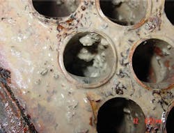 Content Dam Ww En Articles Iww Print Volume 17 Issue 6 Features The Science Behind Biofilms And Their Impact On Cooling Towers Leftcolumn Article Thumbnailimage File Content Dam Ww En Articles Iww Print Volume 17 Issue 6 Features The Science Behind Biofilms And Their Impact On Cooling Towers Leftcolumn Article Thumbnailimage File