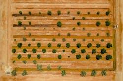 4 Biosaline Agriculture Plot By Nwtp By Bauer Nimr Llc 4 Biosaline Agriculture Plot By Nwtp By Bauer Nimr Llc