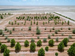 5 Biosaline Agriculture Plot At Nwtp By Bauer Nimr Llc 5 Biosaline Agriculture Plot At Nwtp By Bauer Nimr Llc