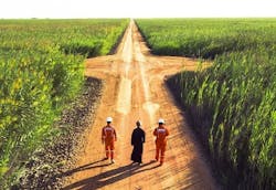 Content Dam Ww Online Articles 2018 01 Nimr Oman Reed Bed Thumb Content Dam Ww Online Articles 2018 01 Nimr Oman Reed Bed Thumb