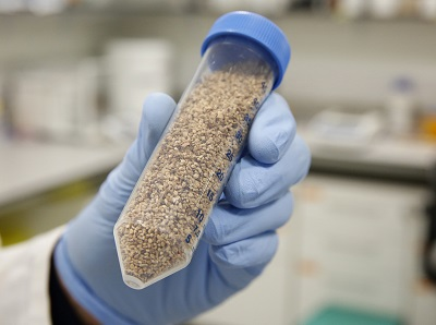 Content Dam Ww Online Articles 2018 02 Customem