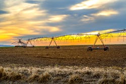 4nadia/iStock 4nadia/iStock