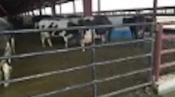 Content Dam Ww En Articles Iww Pt 2018 03 Oregon Settles With Boardman Mega Dairy Over Wastewater Overflows Leftcolumn Article Thumbnailimage File