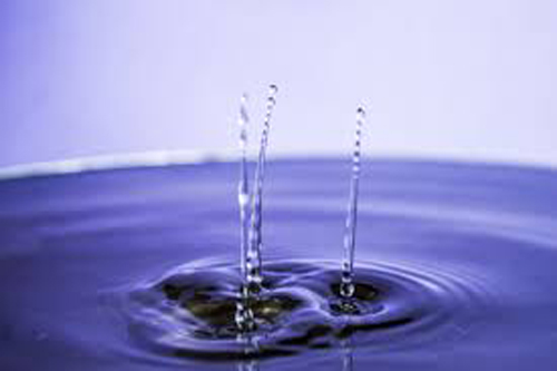 Content Dam Ww Online Articles 2018 03 Images 1