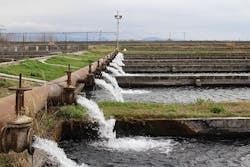 Content Dam Ww Online Articles 2018 03 Masis Dzuk Fish Farm In Armenia Content Dam Ww Online Articles 2018 03 Masis Dzuk Fish Farm In Armenia