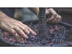 Content Dam Ww En Articles Iww Pt 2018 05 Washington Ecology Sets Rules For Winery Wastewater Leftcolumn Article Thumbnailimage File Content Dam Ww En Articles Iww Pt 2018 05 Washington Ecology Sets Rules For Winery Wastewater Leftcolumn Article Thumbnailimage File