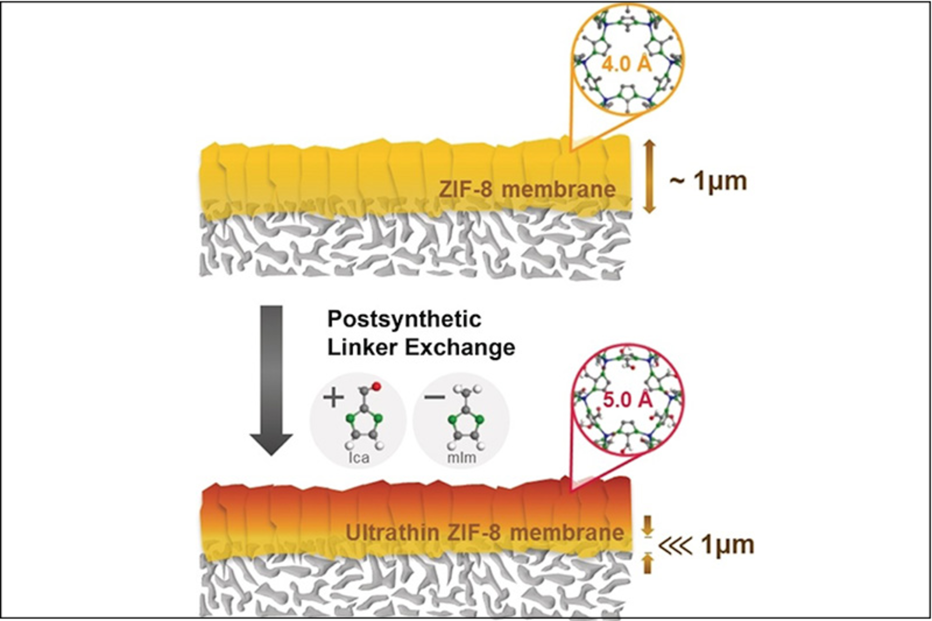 Courtesy of Texas A&M