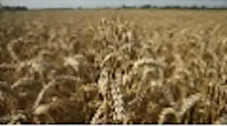 Content Dam Ww En Articles Iww Pt 2018 06 House Approves Five Year Farm Bill Leftcolumn Article Thumbnailimage File