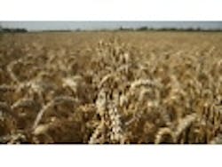 Content Dam Ww En Articles Iww Pt 2018 06 House Approves Five Year Farm Bill Leftcolumn Article Thumbnailimage File Content Dam Ww En Articles Iww Pt 2018 06 House Approves Five Year Farm Bill Leftcolumn Article Thumbnailimage File