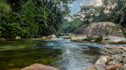 Content Dam Ww Online Articles 2018 07 Stone River Ecuador Day Atmosphere Pwpartlycloudy 480963