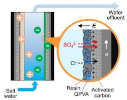 Rice0806 Sulfate 2 Web 2k8wyde 300x238 Rice0806 Sulfate 2 Web 2k8wyde 300x238