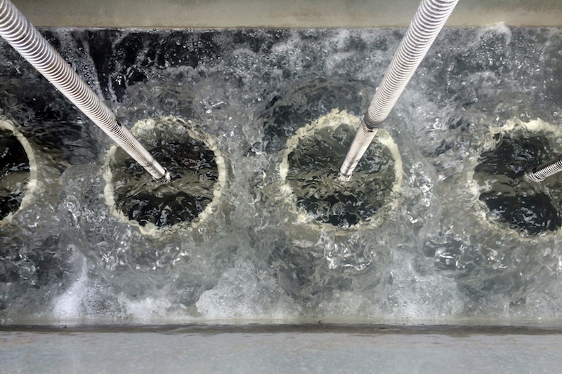 Courtesy of World Water Works