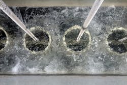 Courtesy of World Water Works Courtesy of World Water Works