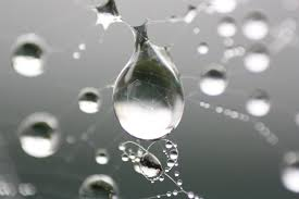 Content Dam Ww Online Articles 2018 09 Iww Luminultra Acquisition 2