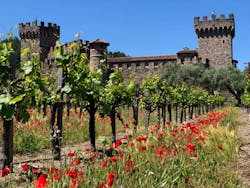 Iww Winery Zcl Iww Winery Zcl