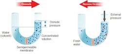 Figure 1. Osmosis and reverse osmosis diagram Figure 1. Osmosis and reverse osmosis diagram