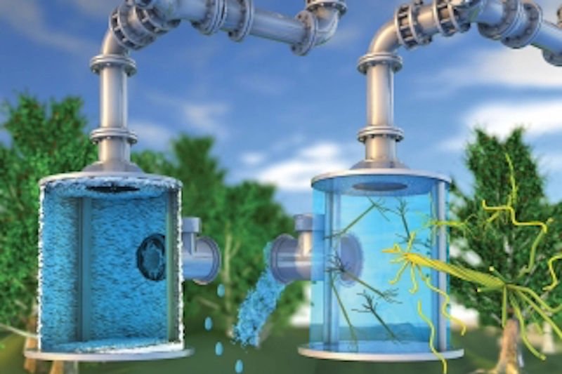 Hairy nanocellulose, used as an anti-scaling agent in the container at right, prevents the kind of mineral buildup that is restricting outflow from the container at left. Courtesy of McGill University