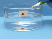 Content Dam Ww Online Articles 2018 11 Ww Newscast 20181126 Story1b Argonne Filter Still Credit Anl 200x150