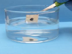 Content Dam Ww Online Articles 2018 11 Ww Newscast 20181126 Story1b Argonne Filter Still Credit Anl 200x150 Content Dam Ww Online Articles 2018 11 Ww Newscast 20181126 Story1b Argonne Filter Still Credit Anl 200x150