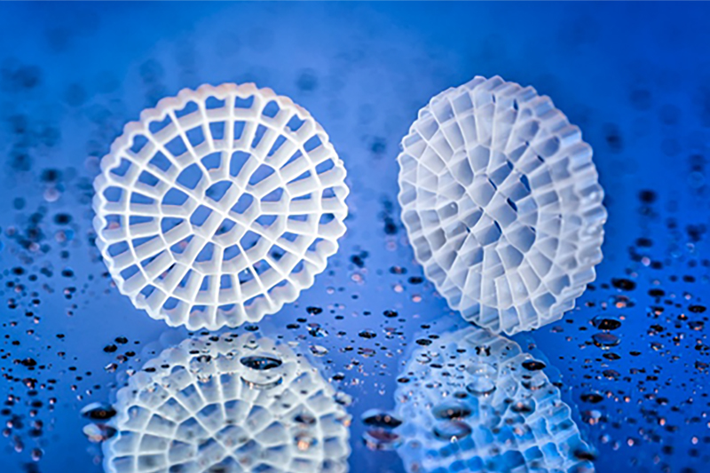 Image courtesy of Veolia