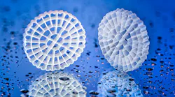 Image courtesy of Veolia