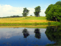 Content Dam Ww Online Articles 2018 12 Ww Newscast 20181217 Story1c Farm 381683 1920 Pond Wotus Credit Pixabay Cc0 200x150