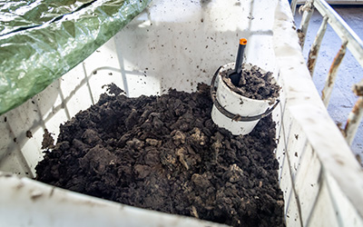 Content Dam Ww Online Articles 2018 12 Wwi Hiertamo Hiedanranta Nollakuitu