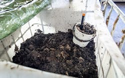 Content Dam Ww Online Articles 2018 12 Wwi Hiertamo Hiedanranta Nollakuitu Content Dam Ww Online Articles 2018 12 Wwi Hiertamo Hiedanranta Nollakuitu