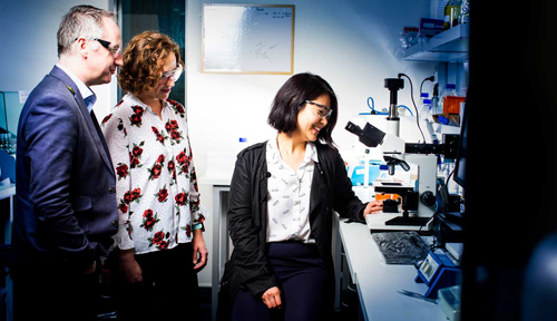 Content Dam Ww Online Articles 2019 01 Iww Anti Fouling Uow255272