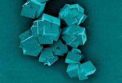 1902iwwft1 P05 1902iwwft1 P05