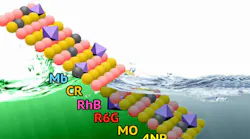 Content Dam Ww Online Articles 2019 02 Ww Credit Allen Dressen 1 Rudnchemists