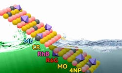 Content Dam Ww Online Articles 2019 02 Ww Credit Allen Dressen 1 Rudnchemists Content Dam Ww Online Articles 2019 02 Ww Credit Allen Dressen 1 Rudnchemists