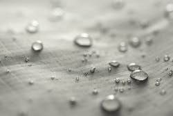 youngvet/iStock youngvet/iStock