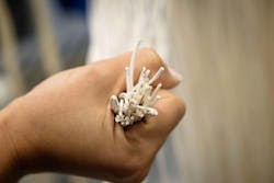 Content Dam Ww Online Articles 2019 02 Wwi Memsift Content Dam Ww Online Articles 2019 02 Wwi Memsift