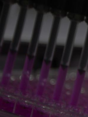 Content Dam Ww Online Articles 2019 04 Iww Microbial Control