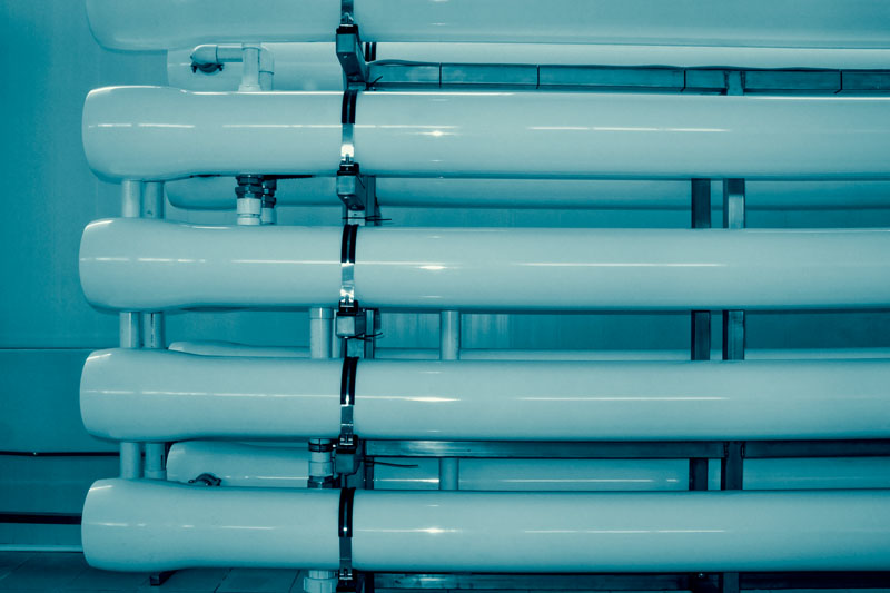 Courtesy of Shedu/iStock