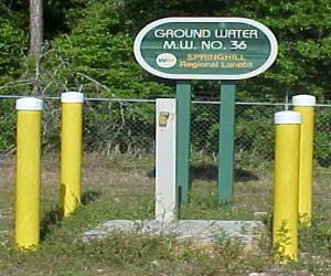 Qed A Uto Pumps 5d07ddfce0c43