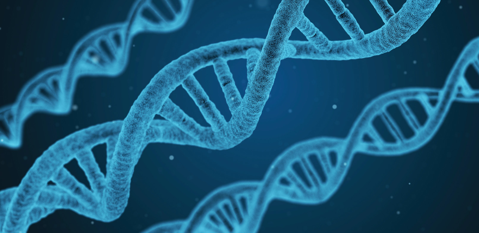 1906 Iw Wft1 P02 5d2169cc8ed10