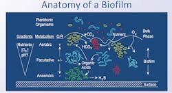 1906 Iw Wft2 P02 1906 Iw Wft2 P02