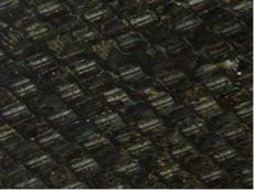 1906 Iw Wft2 P06 1906 Iw Wft2 P06