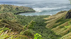 Cetti Bay 143708 640