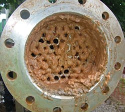 Biological fouling from algae can often be encountered where untreated water is used for cooling. Biological fouling from algae can often be encountered where untreated water is used for cooling.