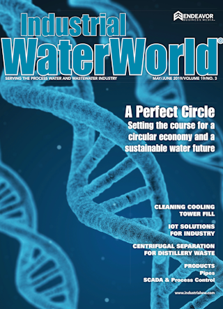 Volume 19, Issue 3, May/June 2019 cover image