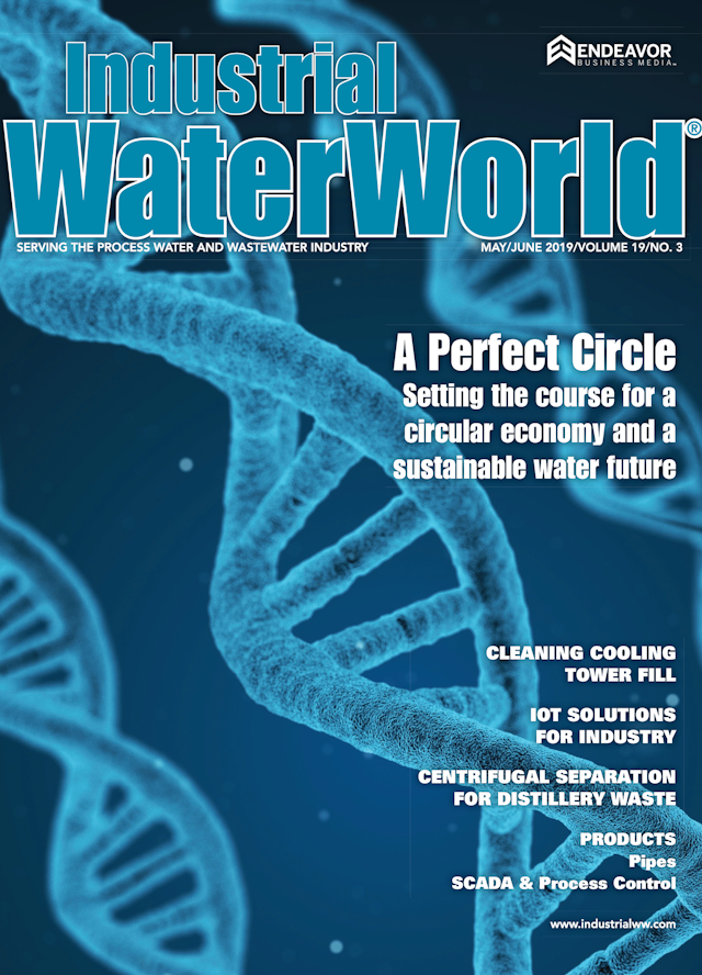 Volume 19, Issue 3, May/June 2019 cover image