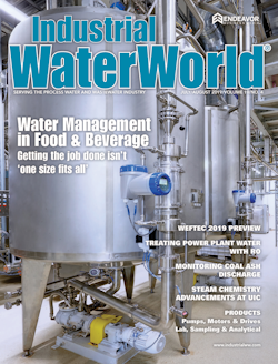 Volume 19, Issue 4, July/August 2019 cover image