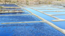 Story1a Salt Evaporation Ponds Credit Ibex73 Cc By Sa 4 0
