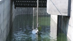 Despite the lockdown, Landia has kept busy winning pump and mixer orders. Despite the lockdown, Landia has kept busy winning pump and mixer orders.