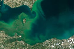 Blue-green algae bloom in Lake Erie.