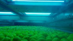 The Clean Works Clean Flow Mini sanitizes produce using ultraviolet light, vaporized hydrogen and ozone. The Clean Works Clean Flow Mini sanitizes produce using ultraviolet light, vaporized hydrogen and ozone.